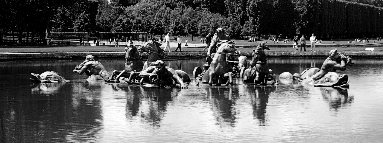 paris horses